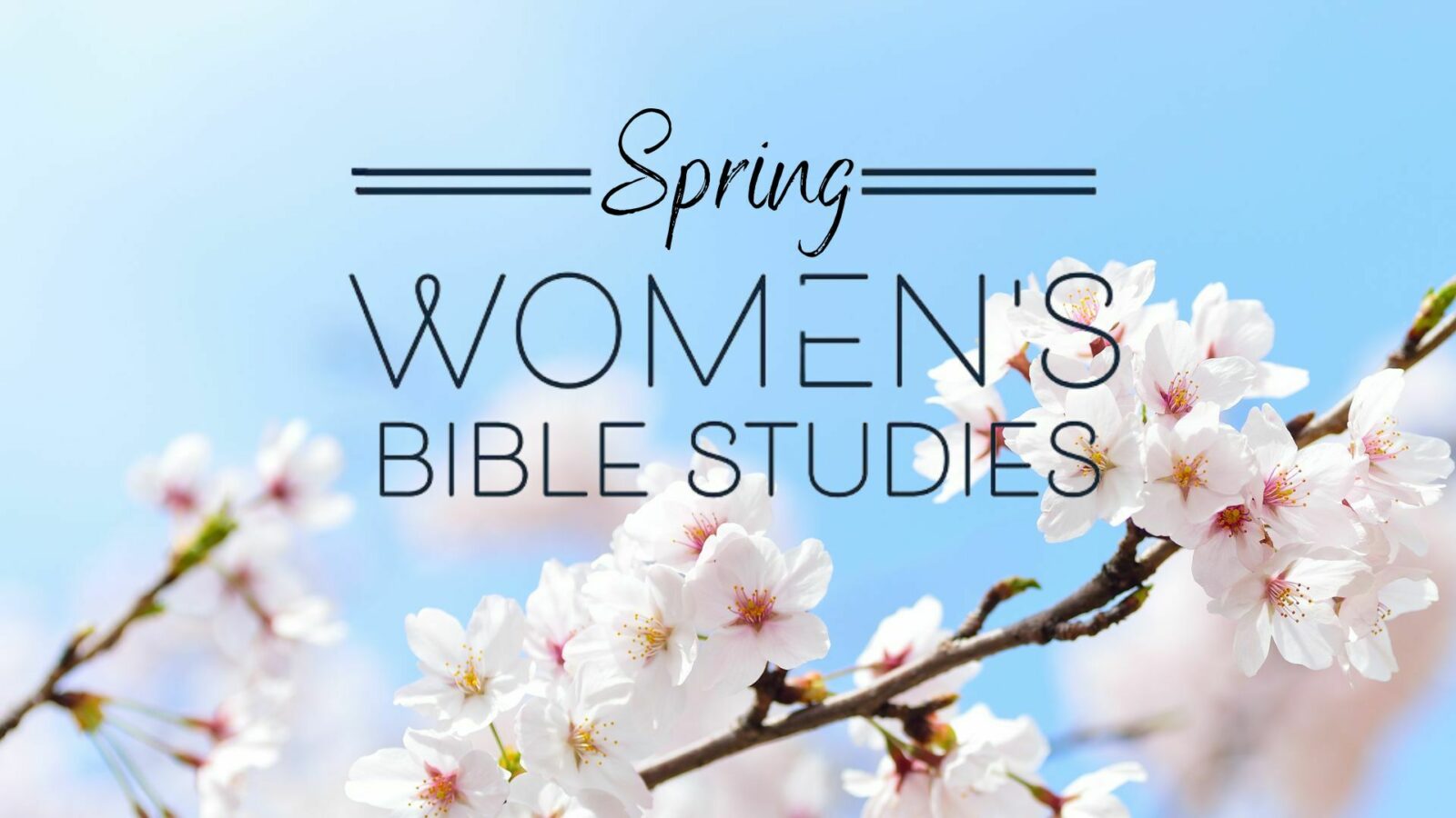 WOMEN'S WEDNESDAY MORNING BIBLE STUDY FELLOWSHIP (BSF)