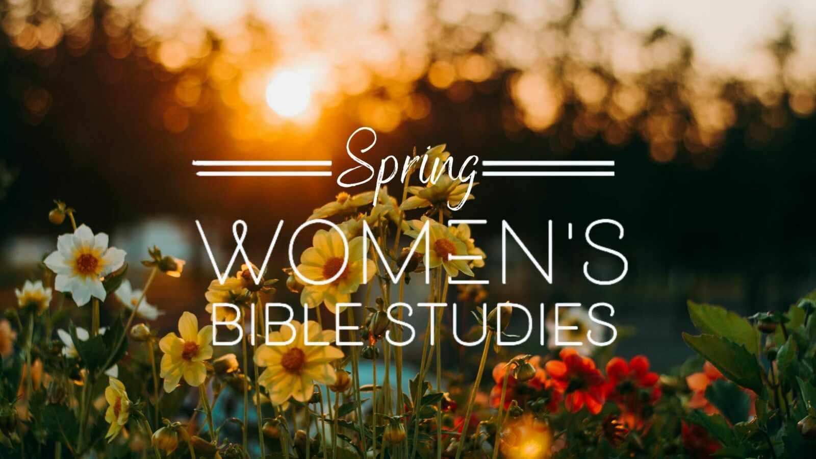 WOMEN'S EVENINGS BIBLE STUDY FELLOWSHIP